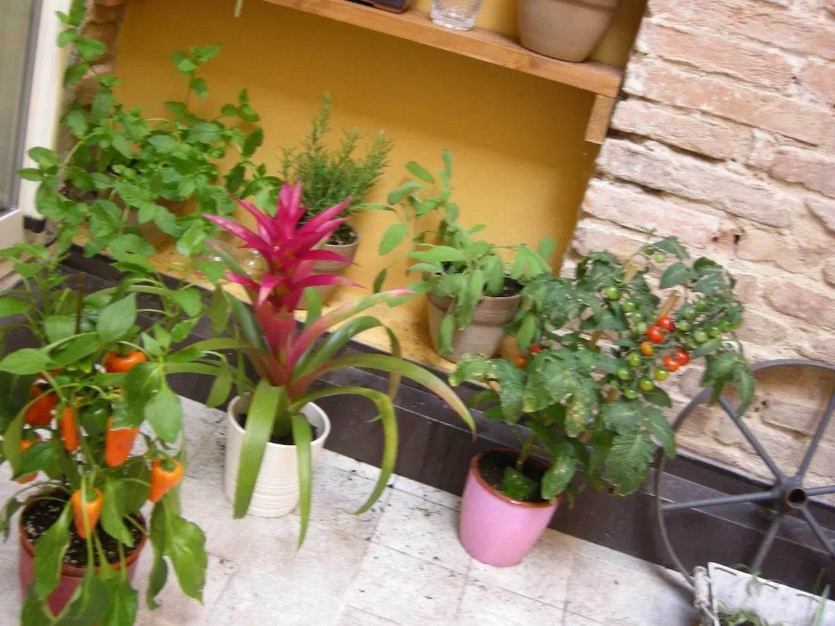 Ferienwohnung Terrazza Petroni Bologna Apartment